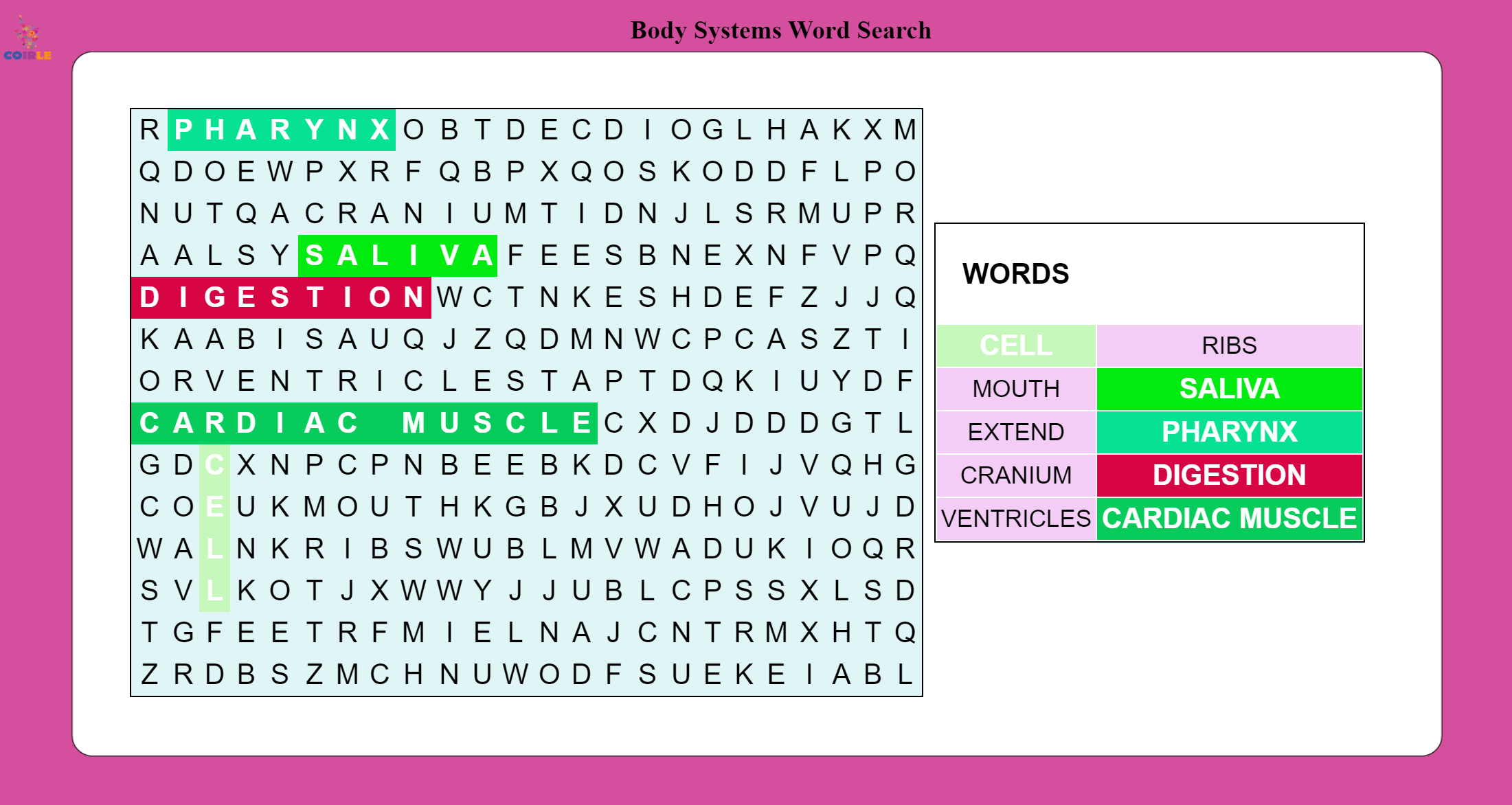 body-systems-word-search-coirle